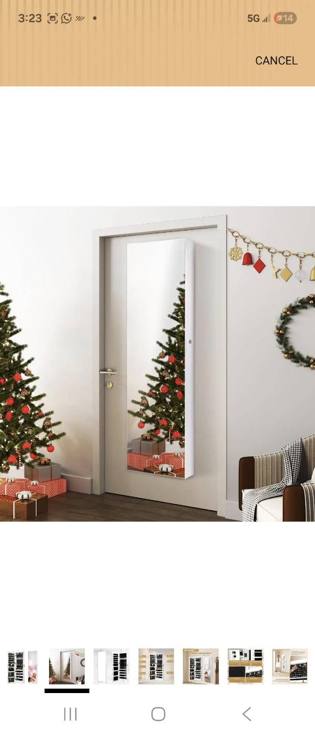 Door Mounted Jewelry Organizer with Full Length Mirror - photo 3