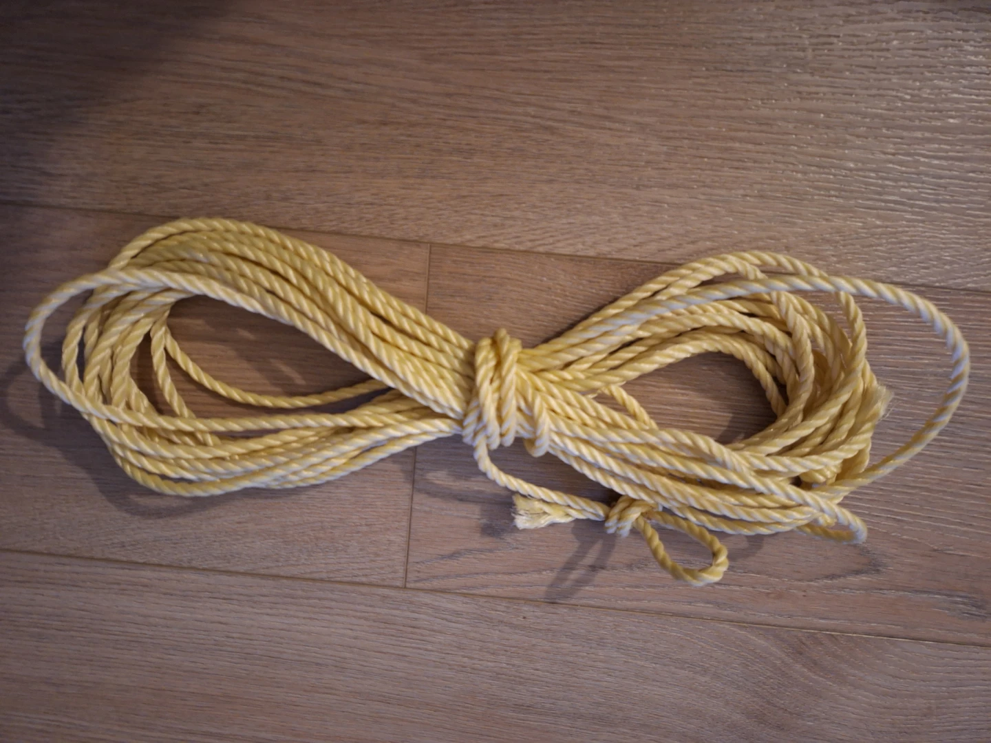 Nylon Rope (29')