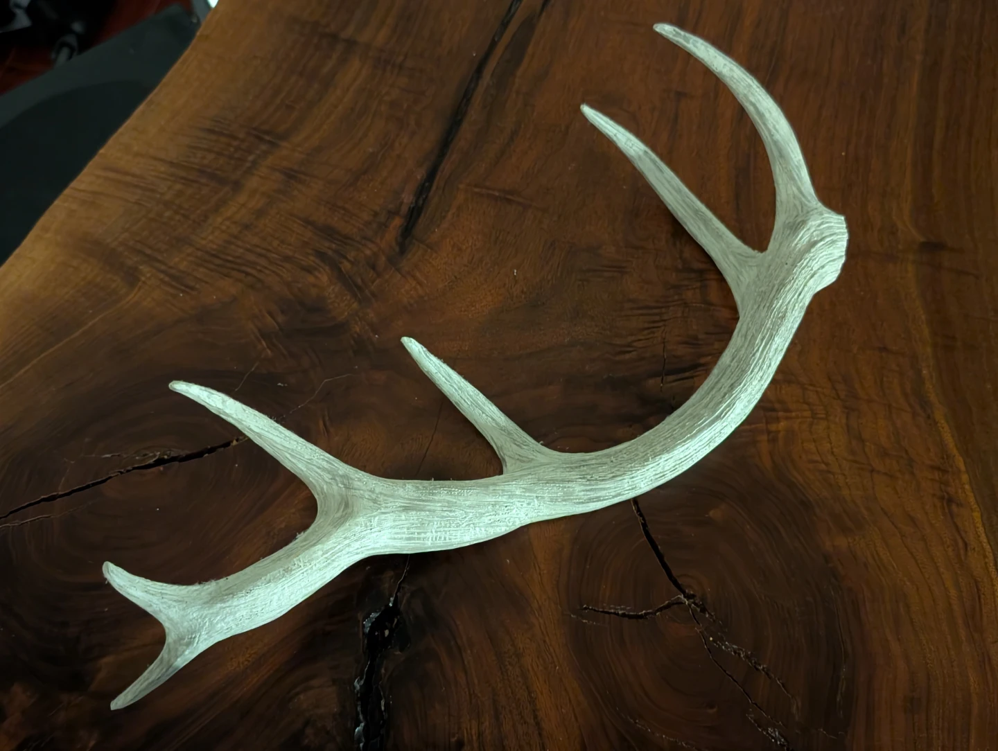 White Decorative Antler