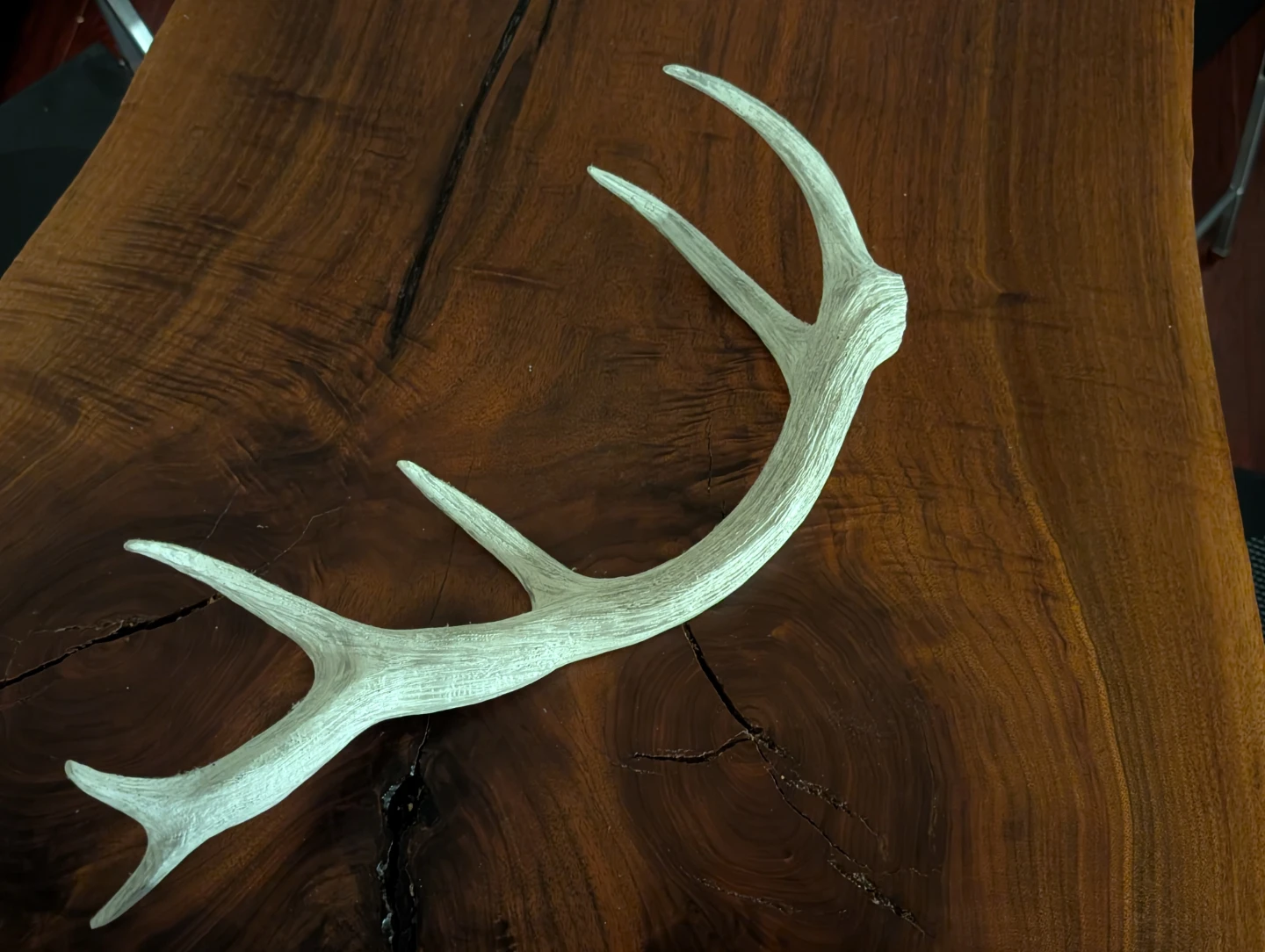 White Decorative Antler - photo 3