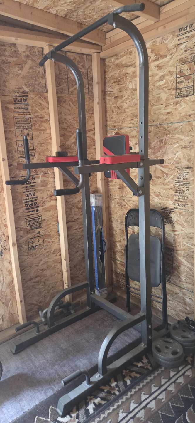 Pull-up Station Dip Station