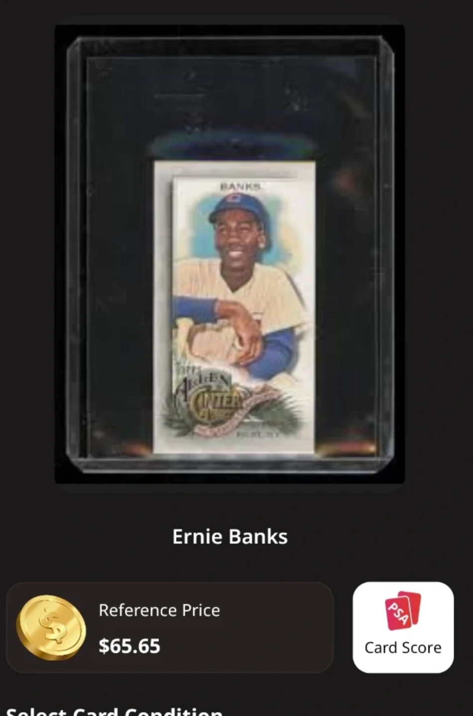 Ernie Banks Baseball Card