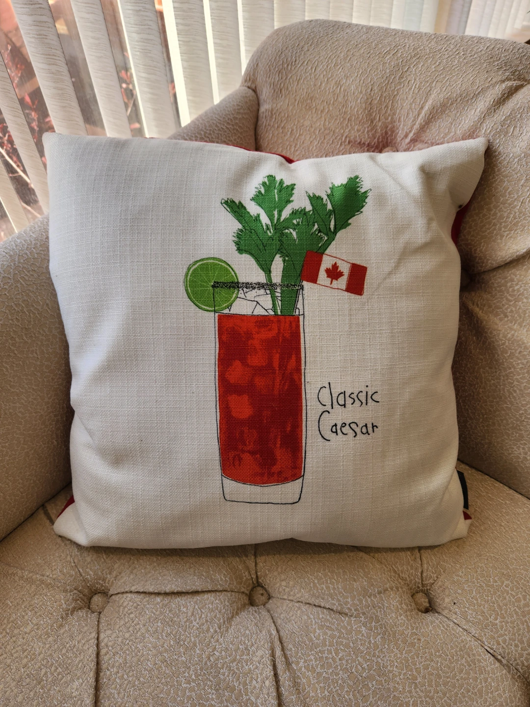 Decorative Throw Pillow - indoor/ outdoor
