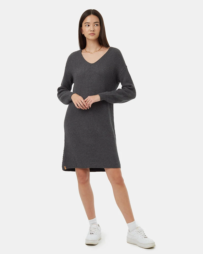 NWT Tentree Grey Sweater Dress (L)