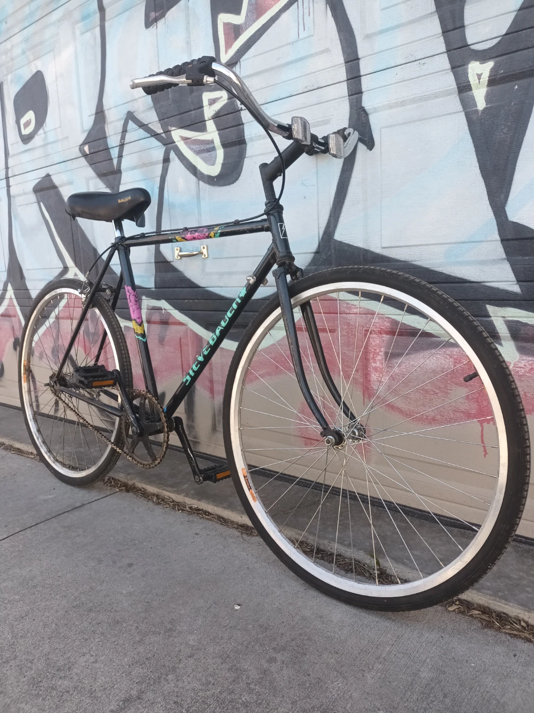 SteveBauer Single Speed Bike