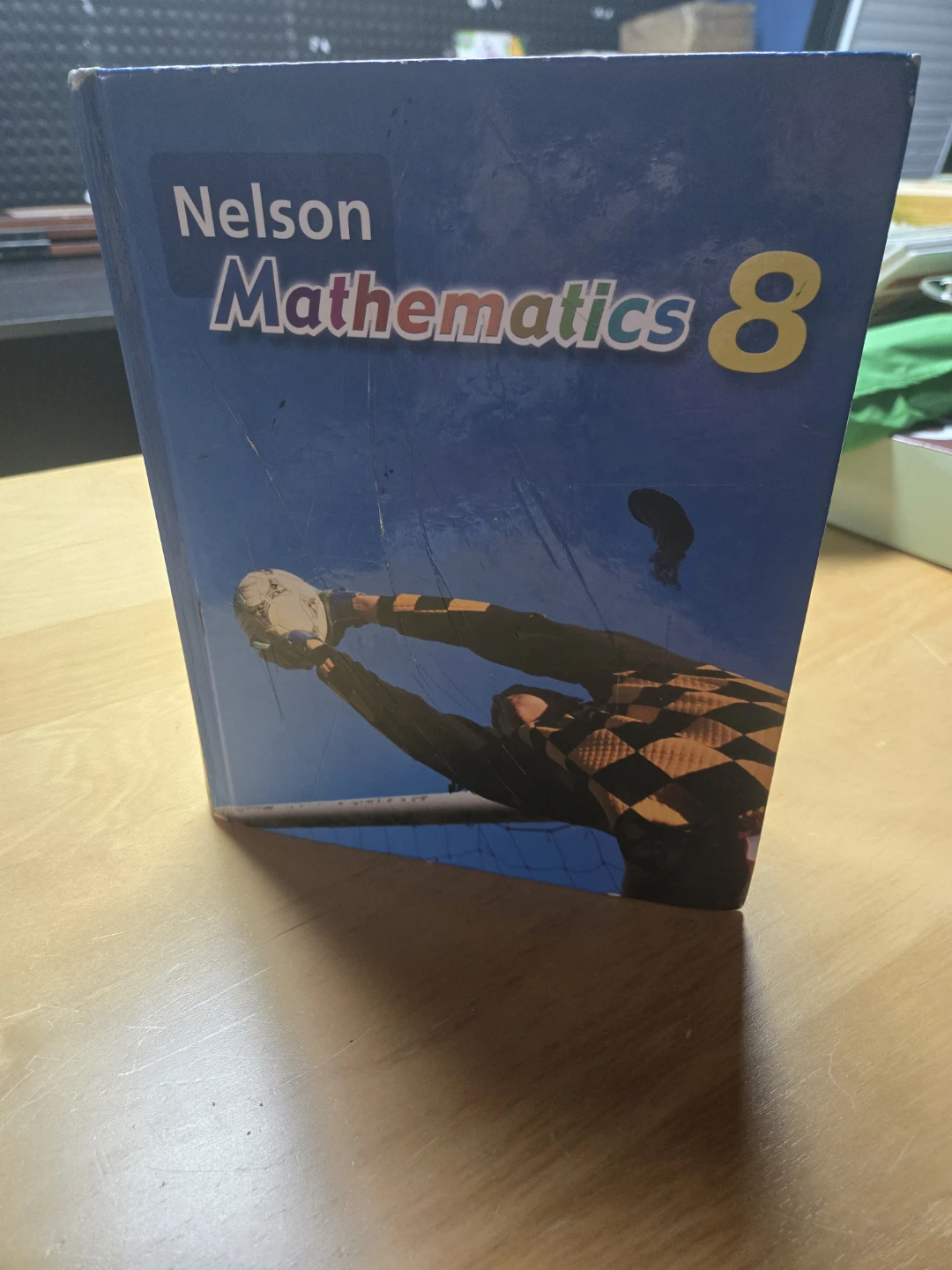 Nelson Mathematics 8 Textbook