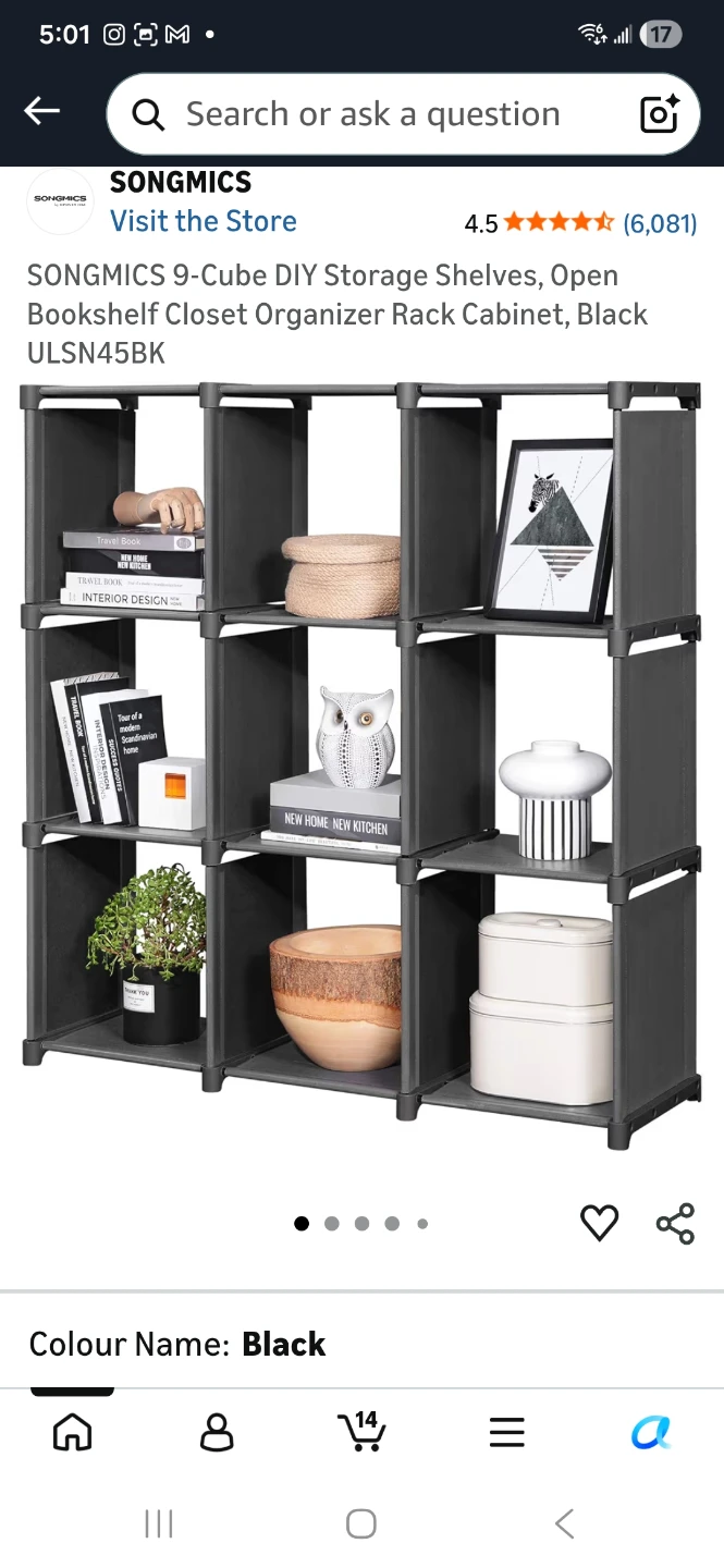 SONGMICS 9-Cube Storage Shelves