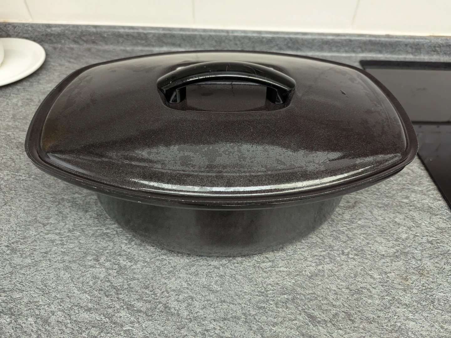New Roasting Pan with Lid