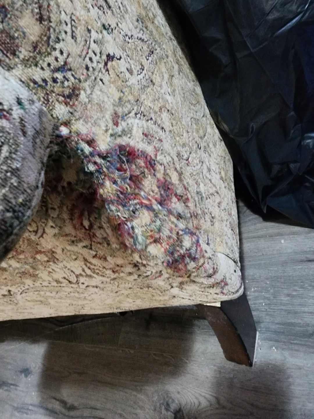 Free large couch and chair - photo 4