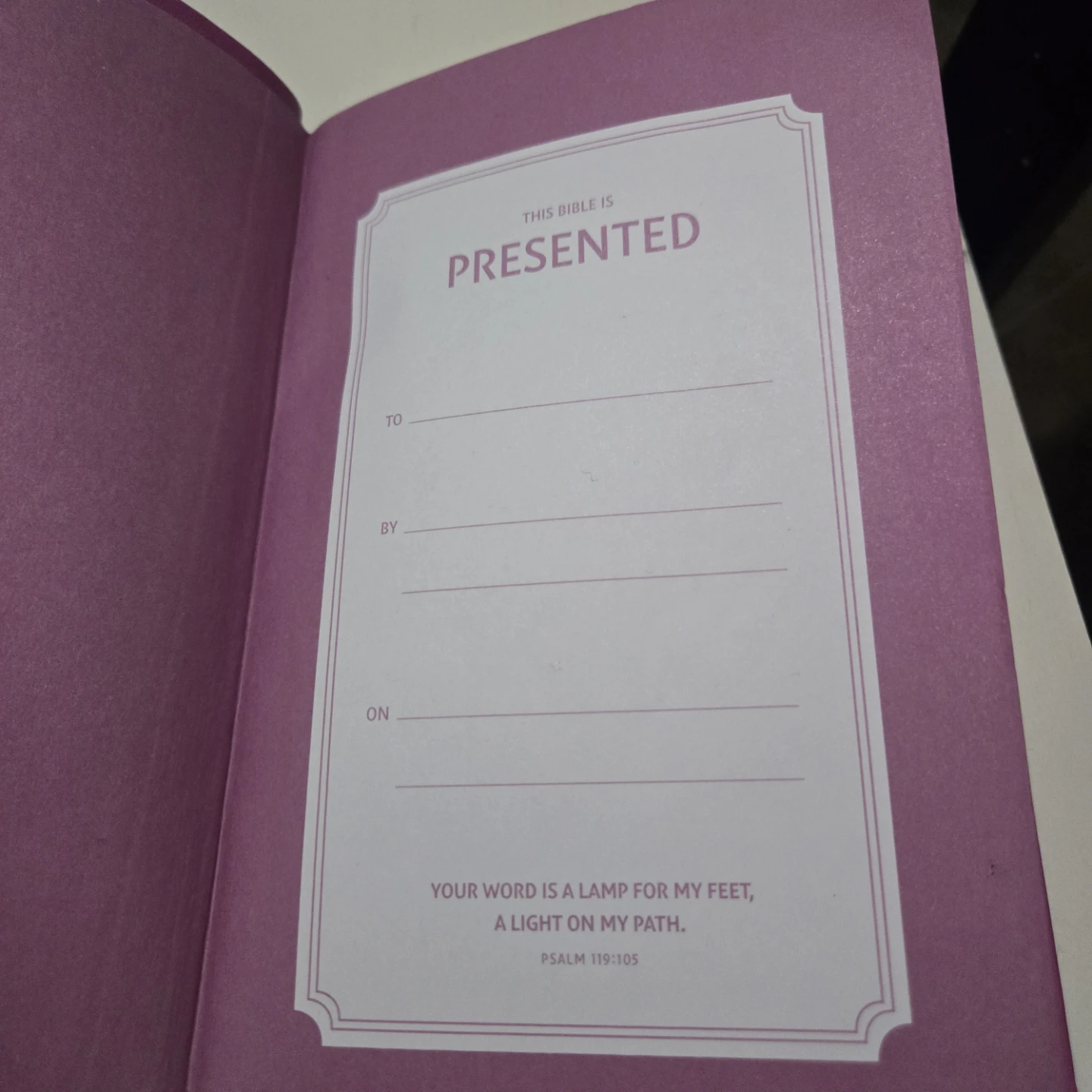 Pink bible (NIV) - photo 4