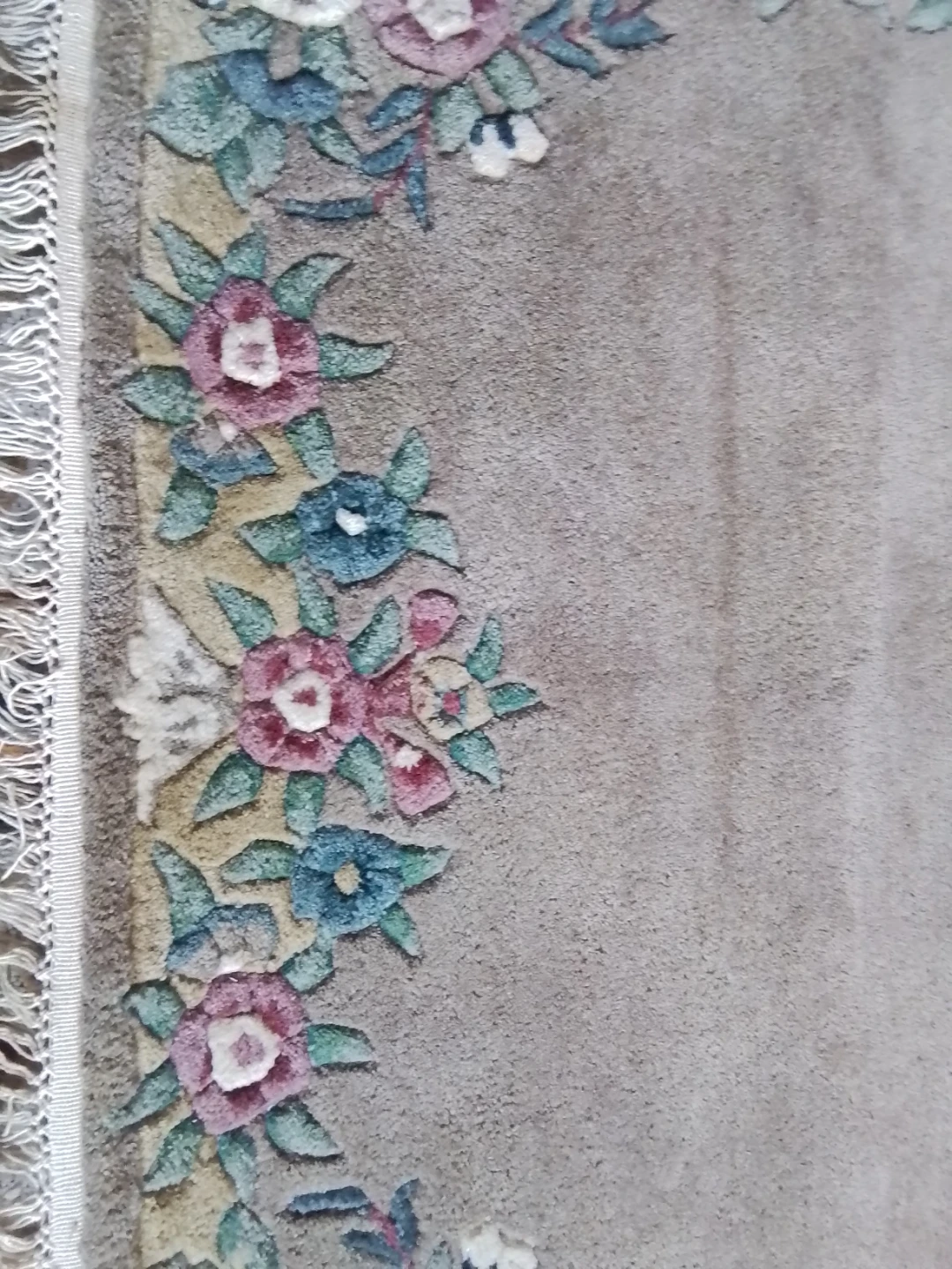 Plush 100% Wool Aubusson-Style Floral Area Rug - photo 5