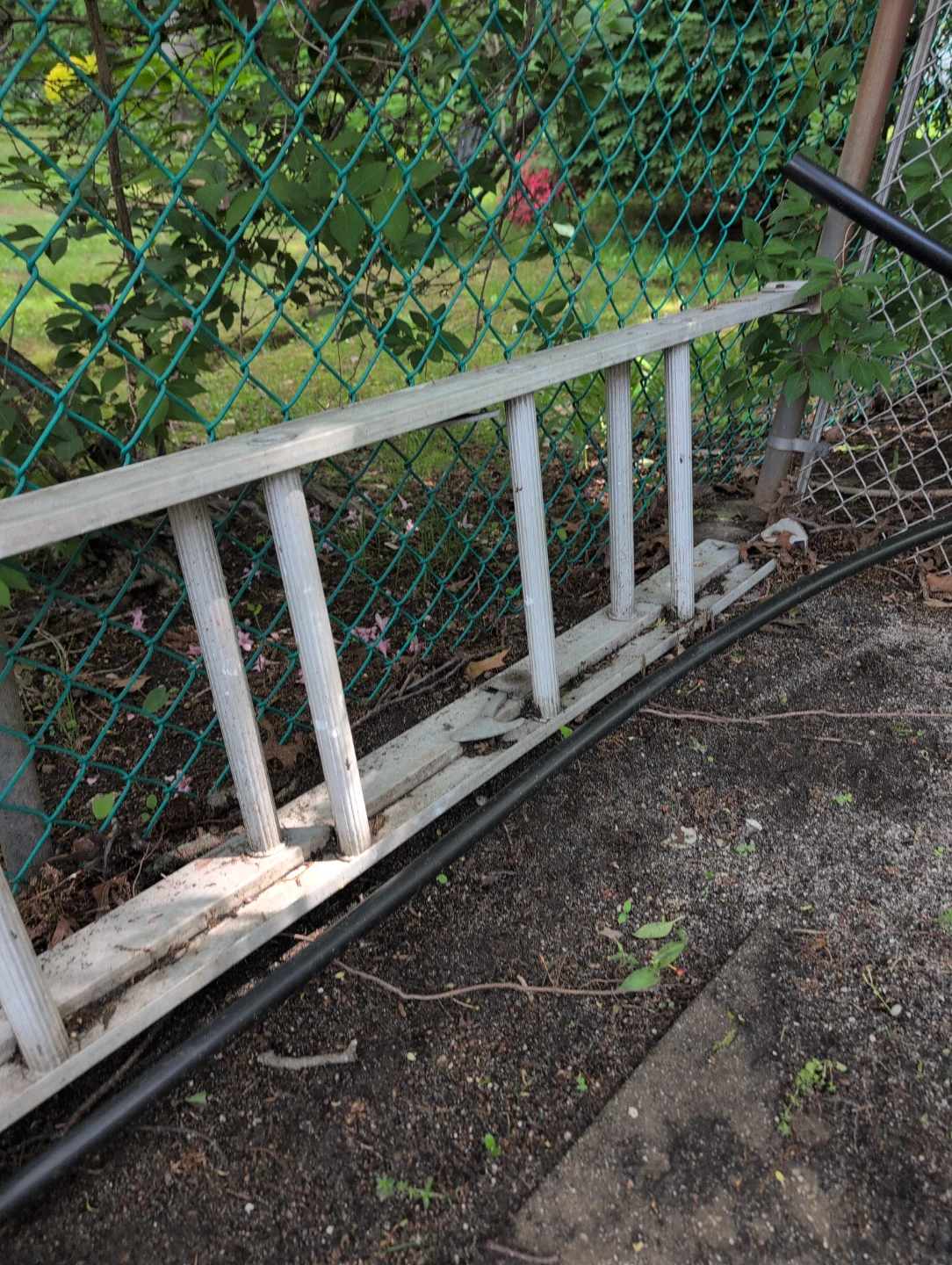 Aluminum Extension Ladder - photo 2