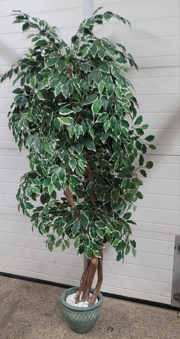 Artificial Ficus Tree in Pot