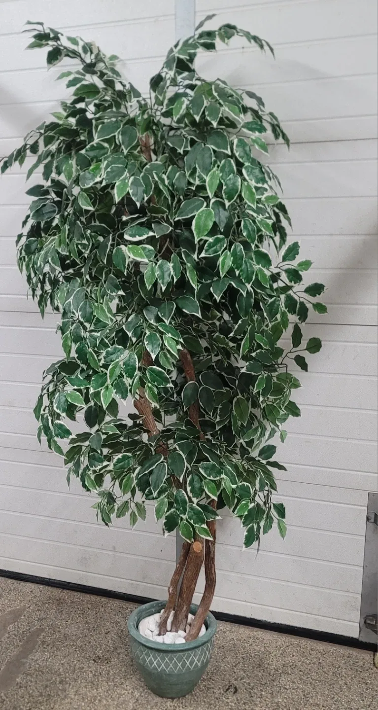 Artificial Ficus Tree in Pot