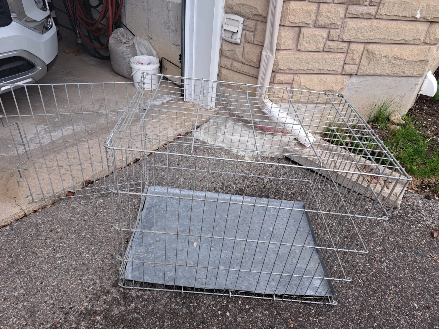 Wire Dog Crate with Tray - photo 2