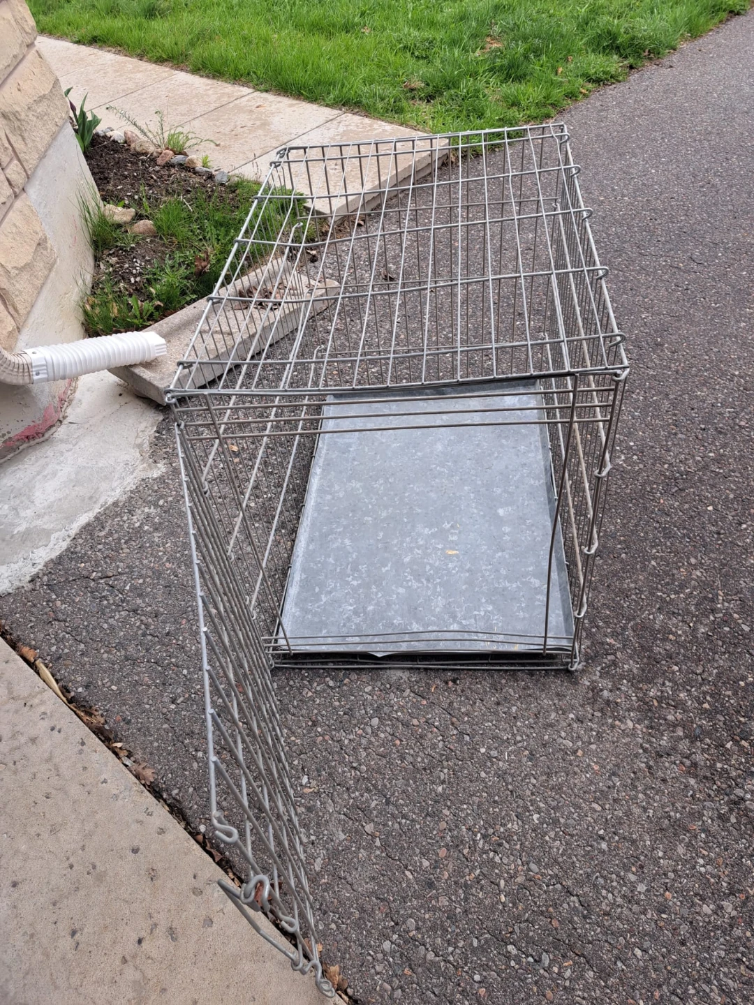 Wire Dog Crate with Tray - photo 3