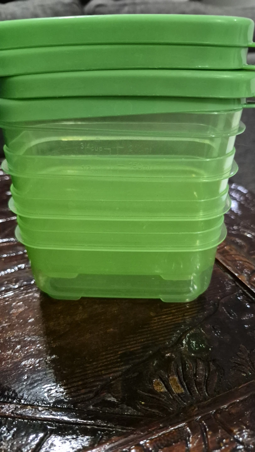 Roots Food Storage Containers Set (4)