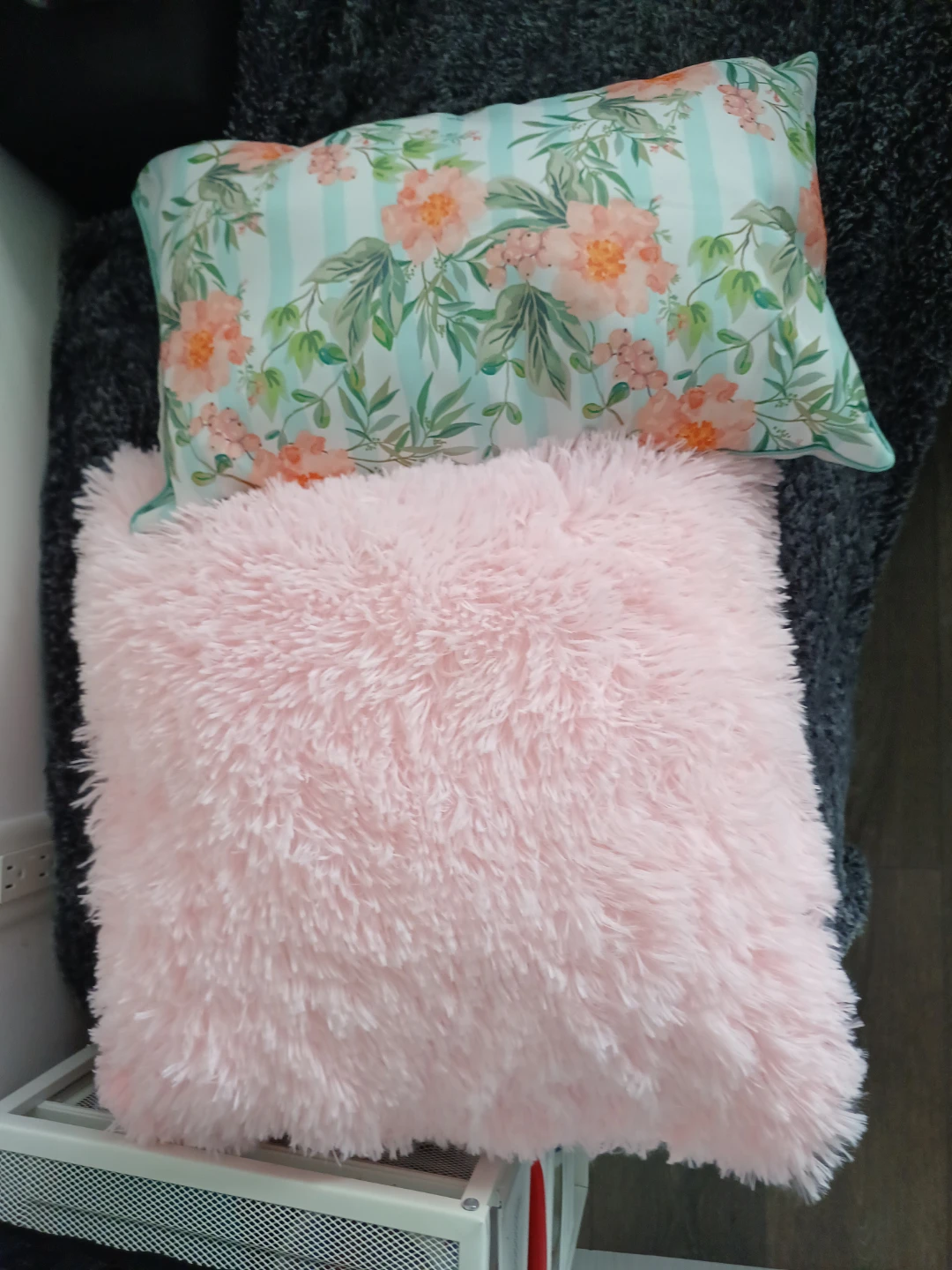 Set of 2 Decorative Throw Pillows