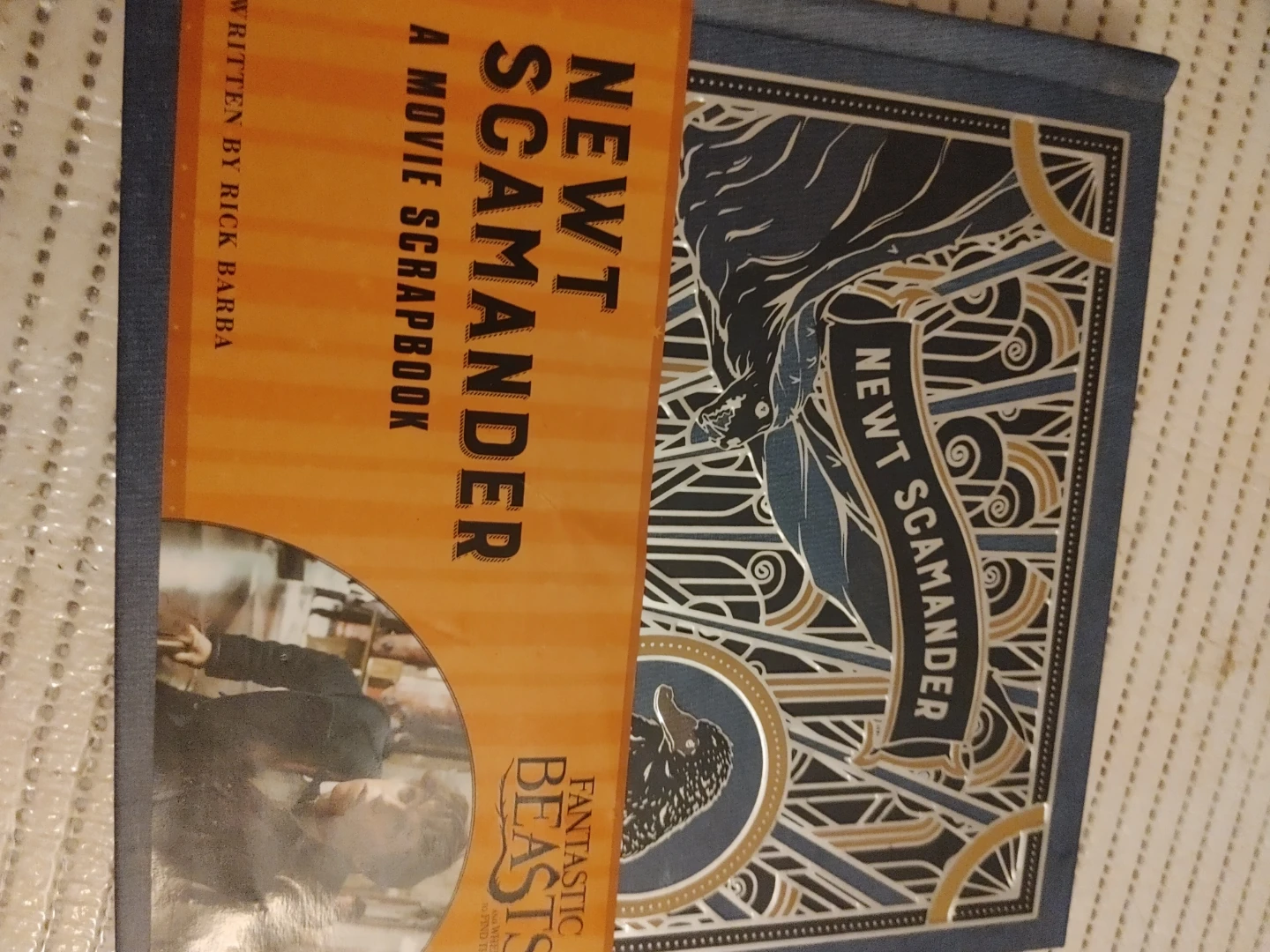 Newt Scamander: A Movie Scrapbook