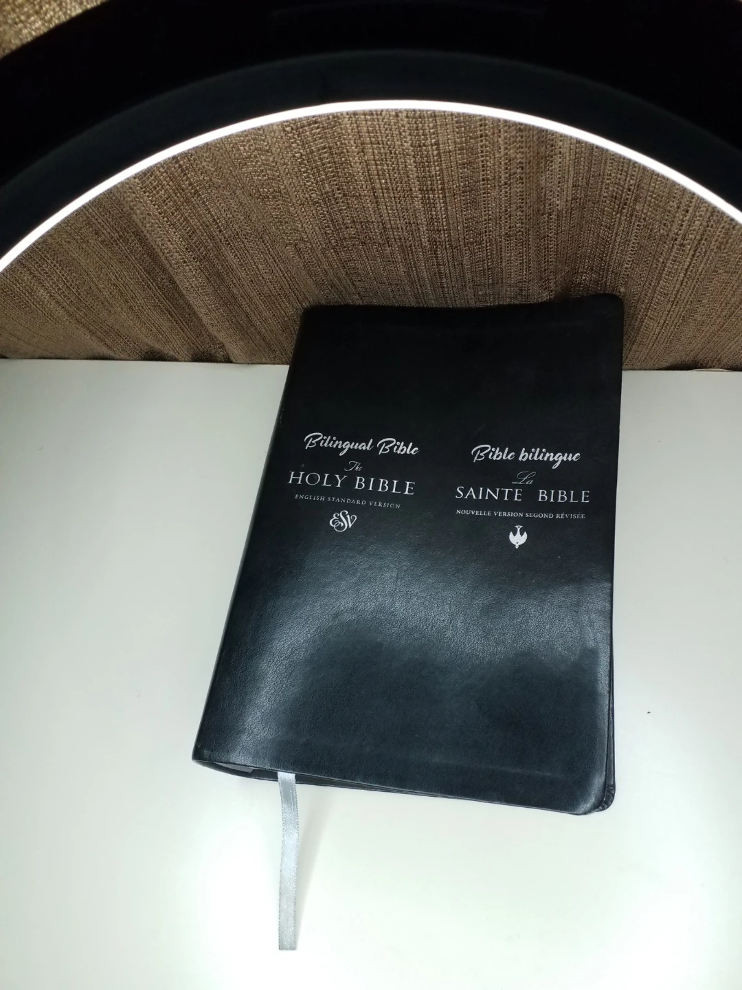 Bilingual Holy Bible English Standard Version / Nouvelle Version