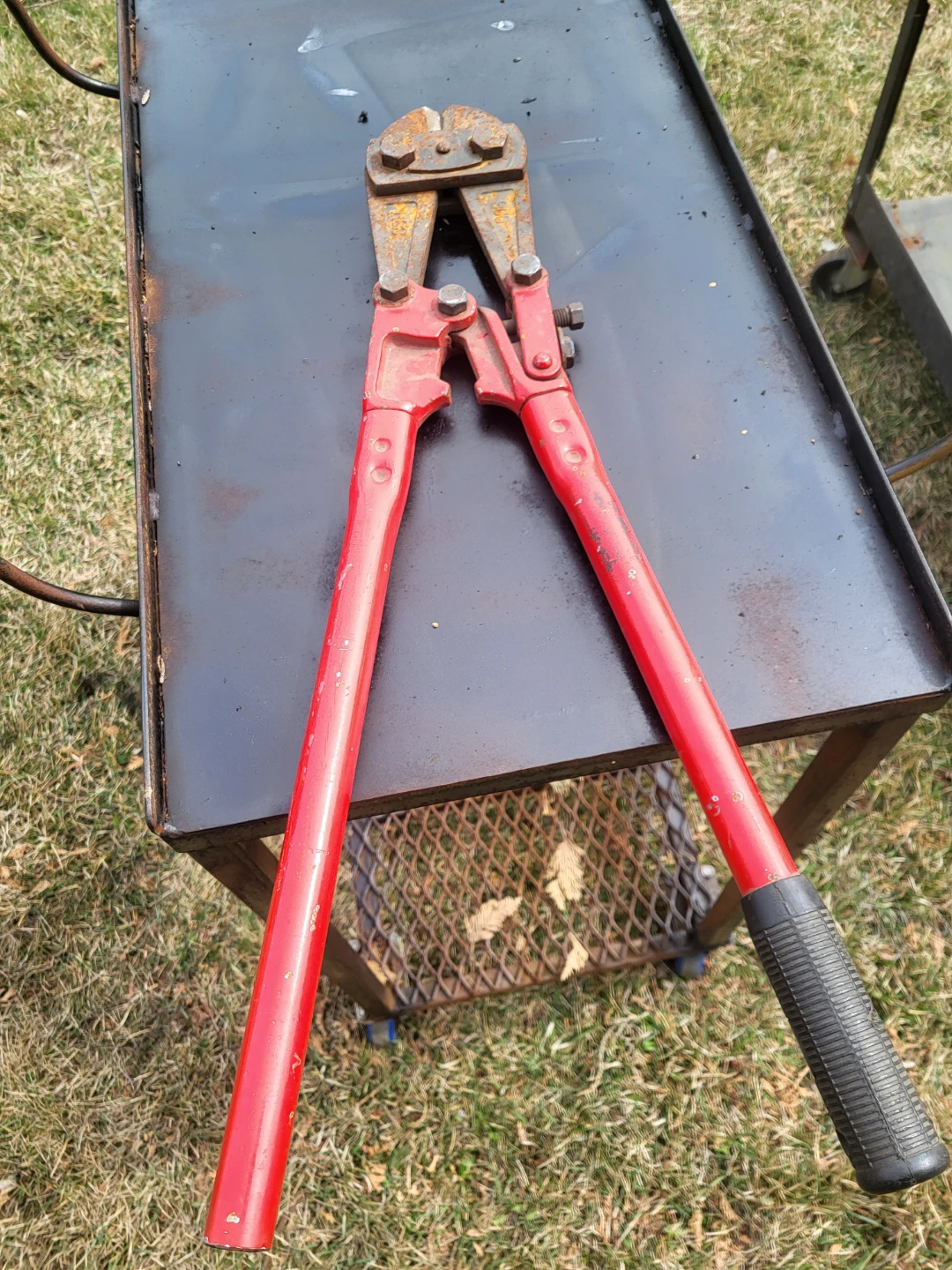 Red Bolt Cutters