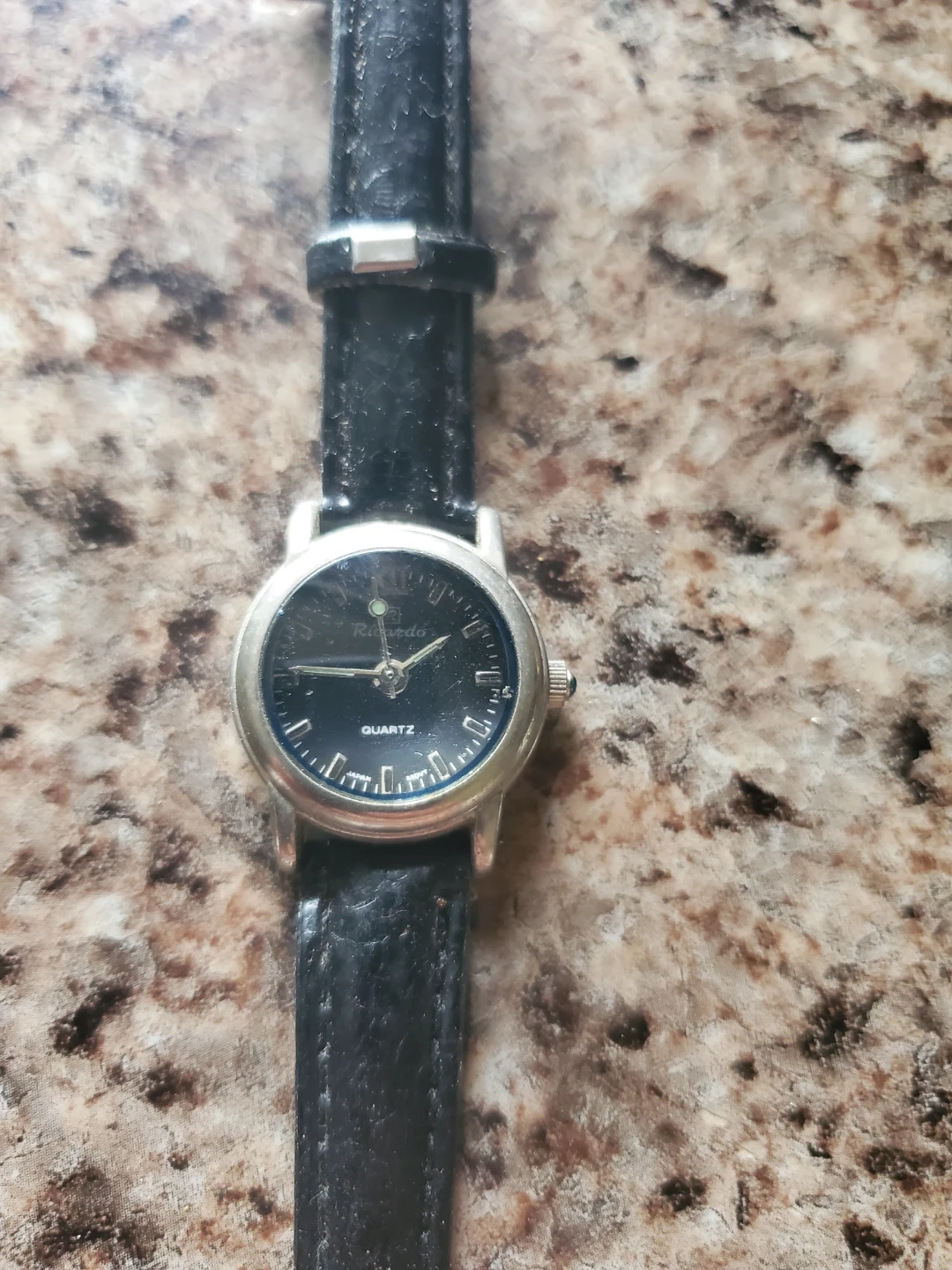 Ricardo Quartz Watch
