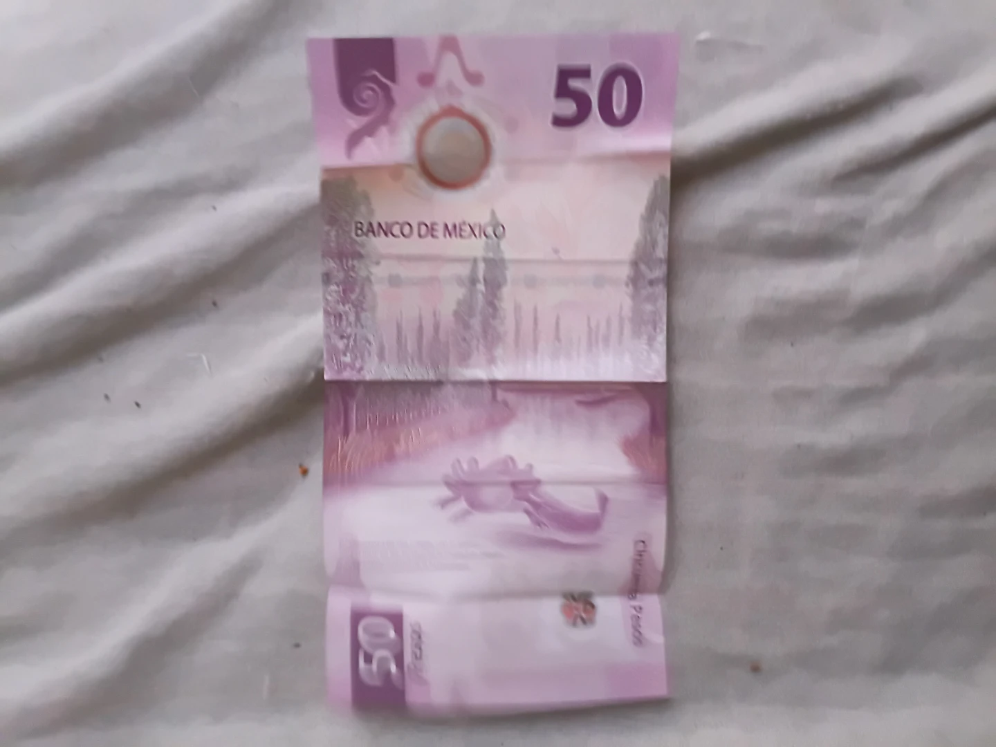 Mexico 50 Pesos Banknote - photo 2
