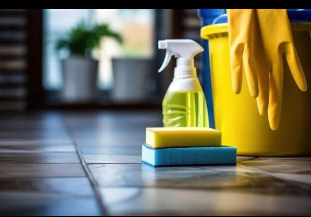 Basic & Deep Cleaning Services - photo 2