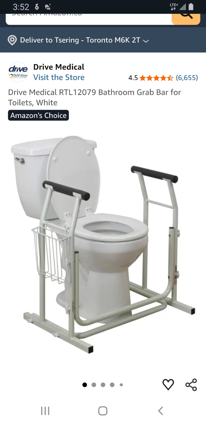 Drive Medical RTL12079 Bathroom Grab Bar for Toilets🌻