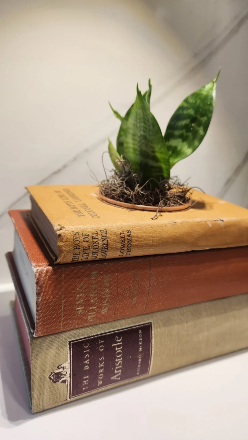 Upcycled orange vintage books planter with plants - photo 4