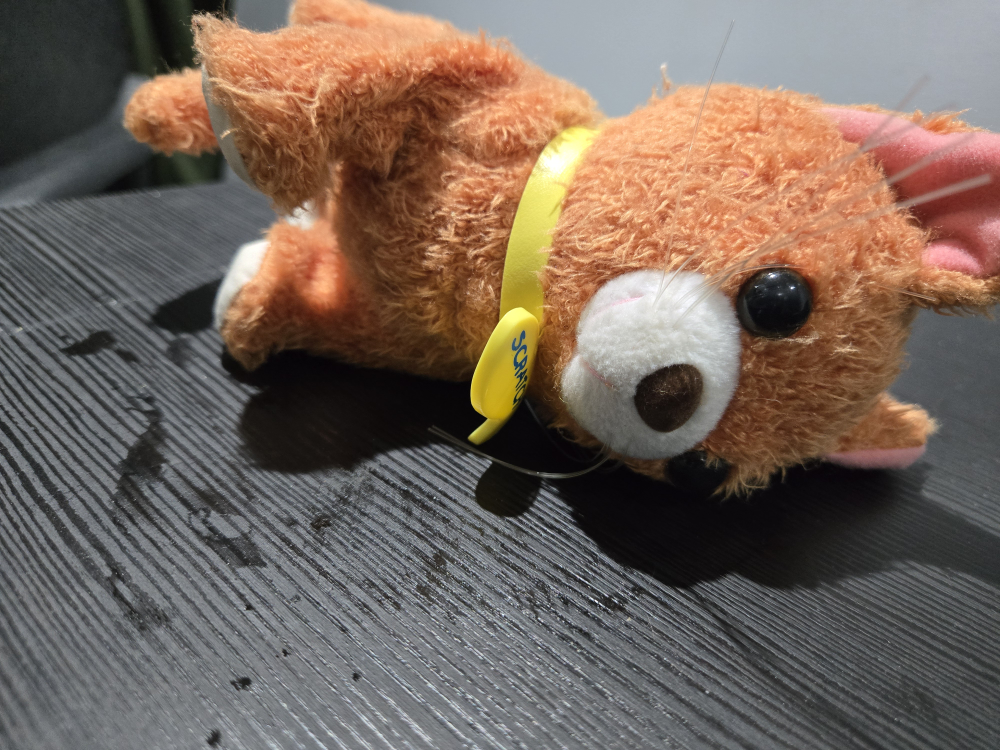 Orange Cat Plush Toy