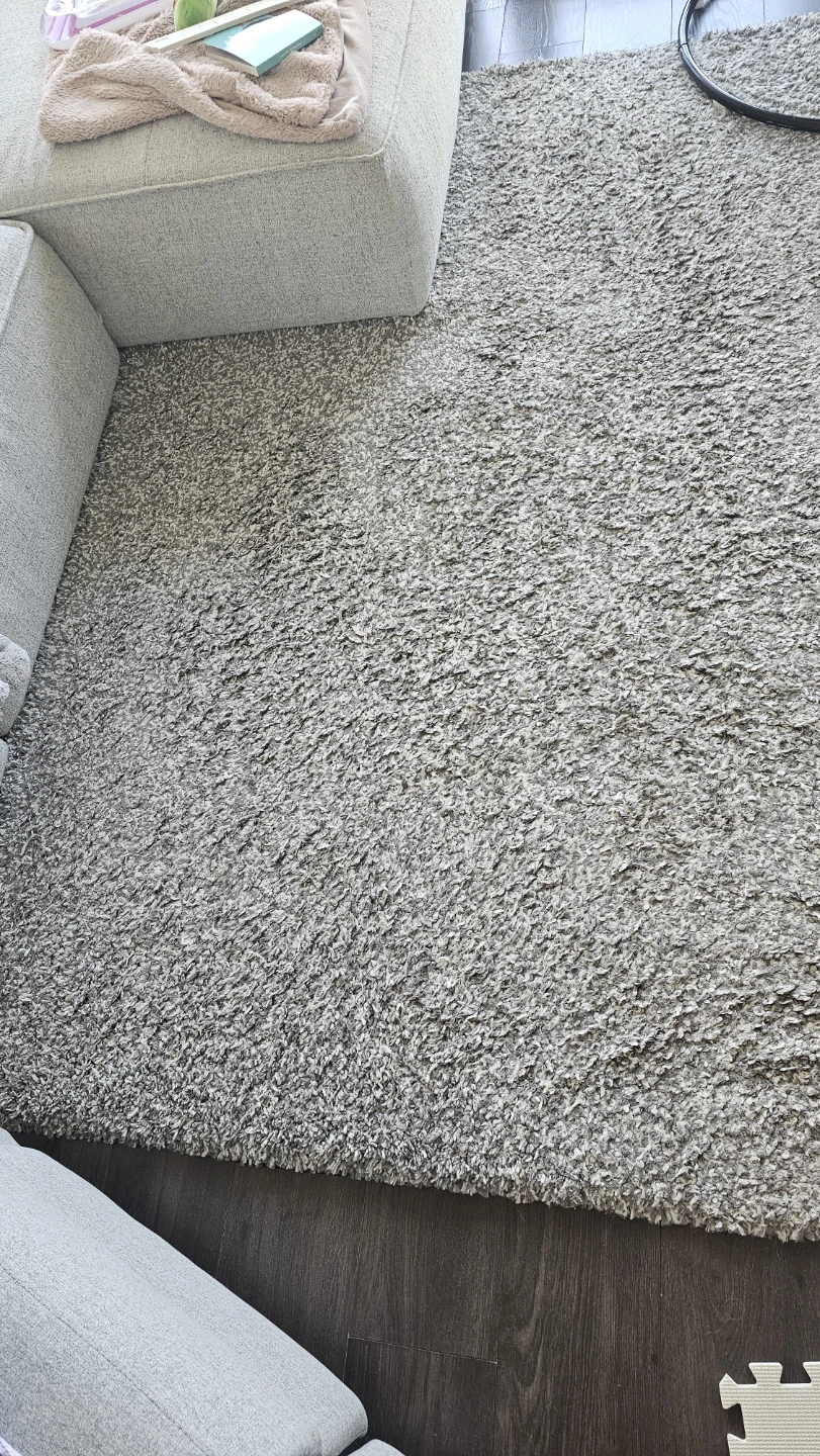 Shag Area Rug