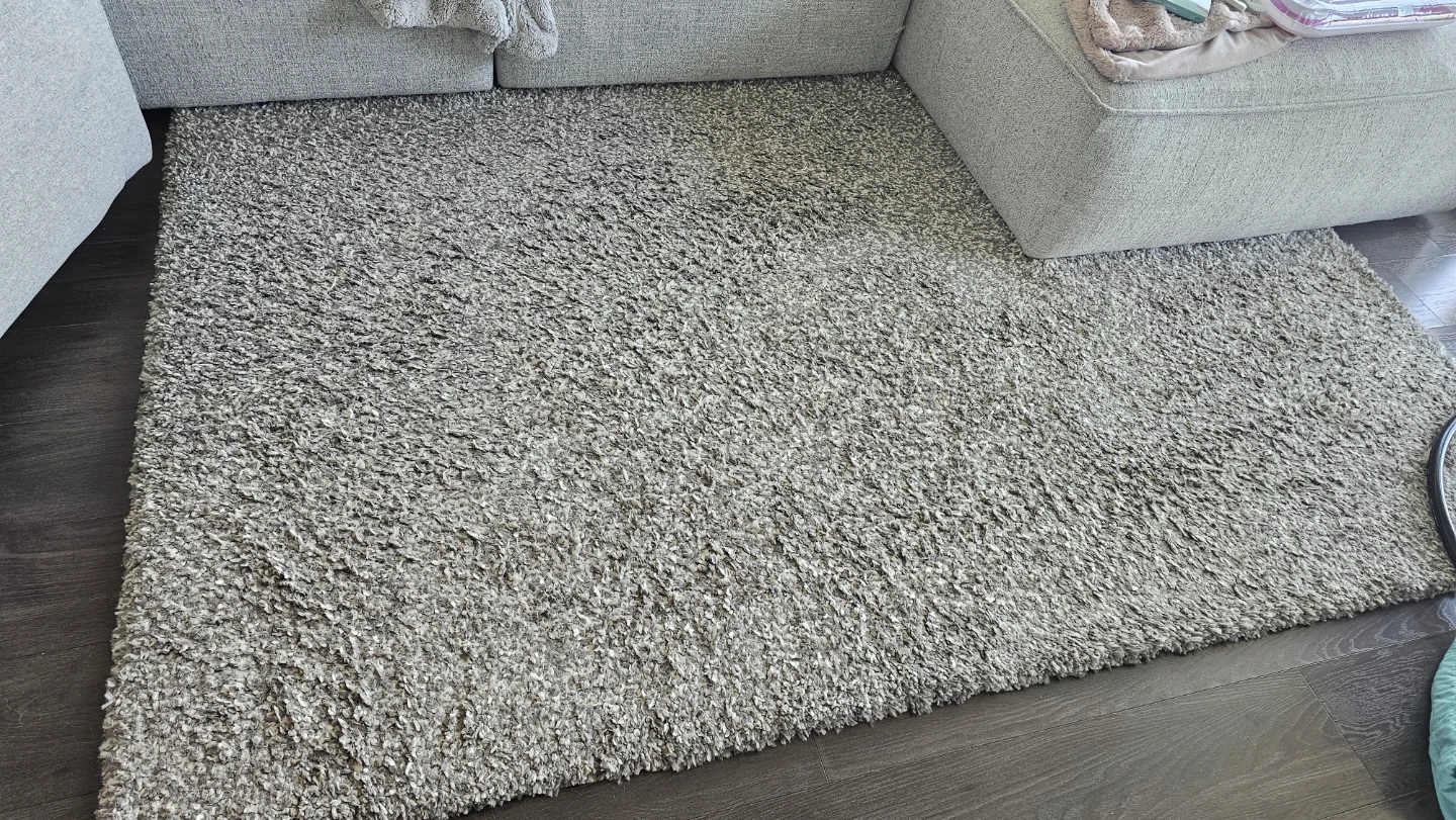Shag Area Rug - photo 2