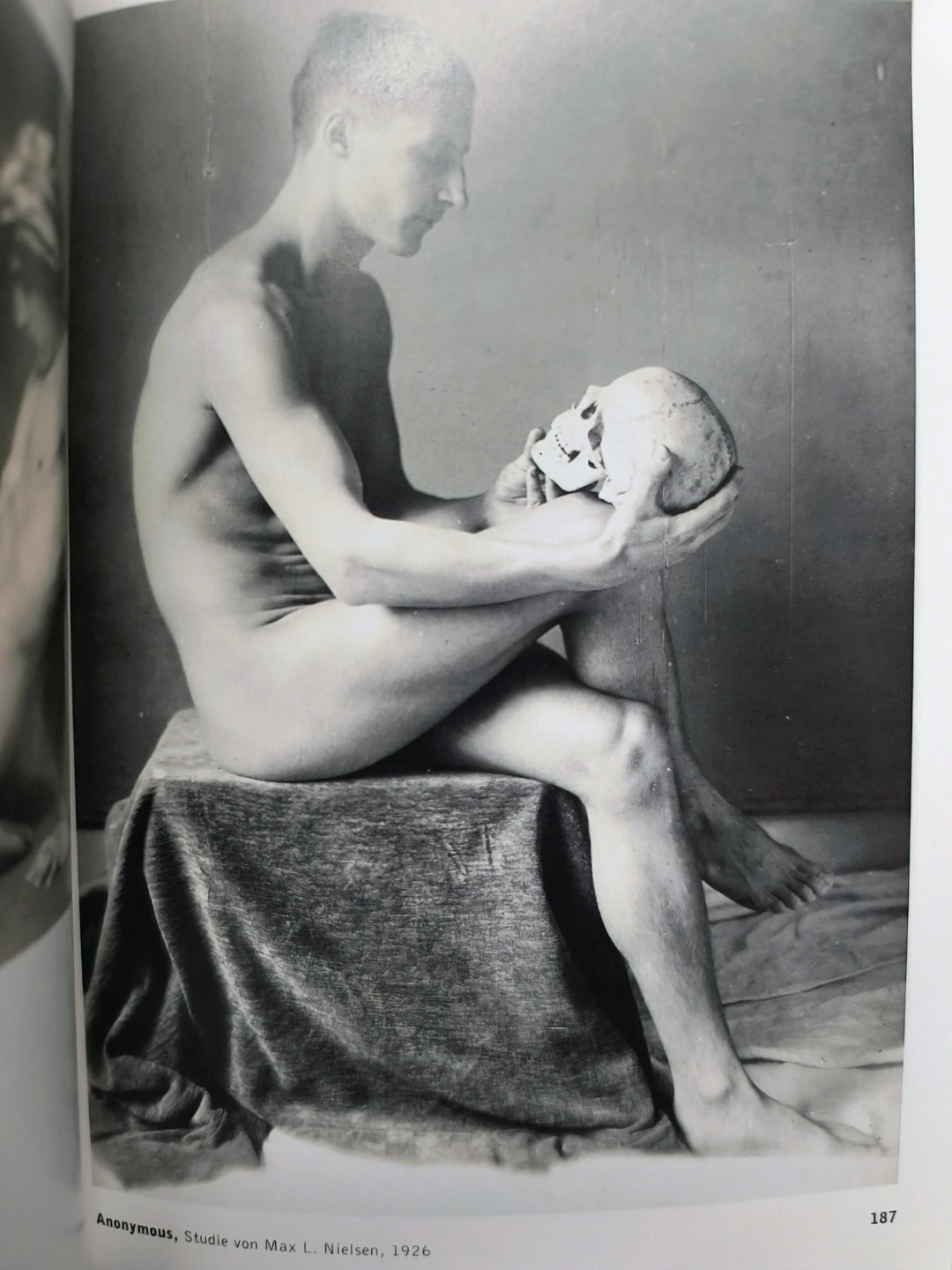 The Male Nude by David Leddick, softcover, 1998 - photo 5