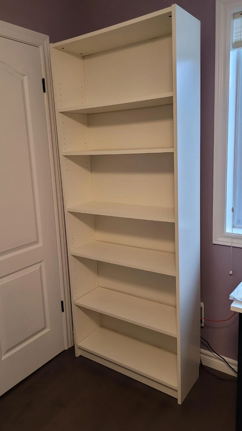 Ikea Billy book shelves