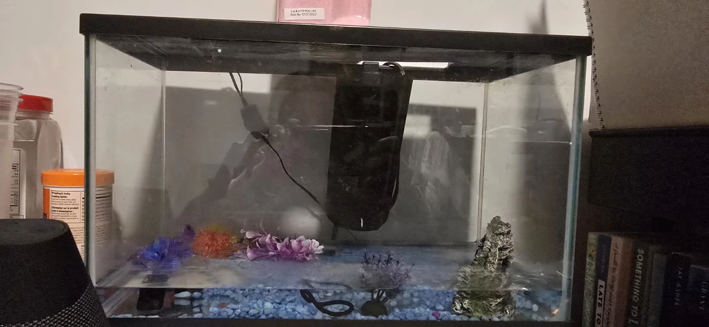 Aquarium Tank with Filter and Decorations - photo 2