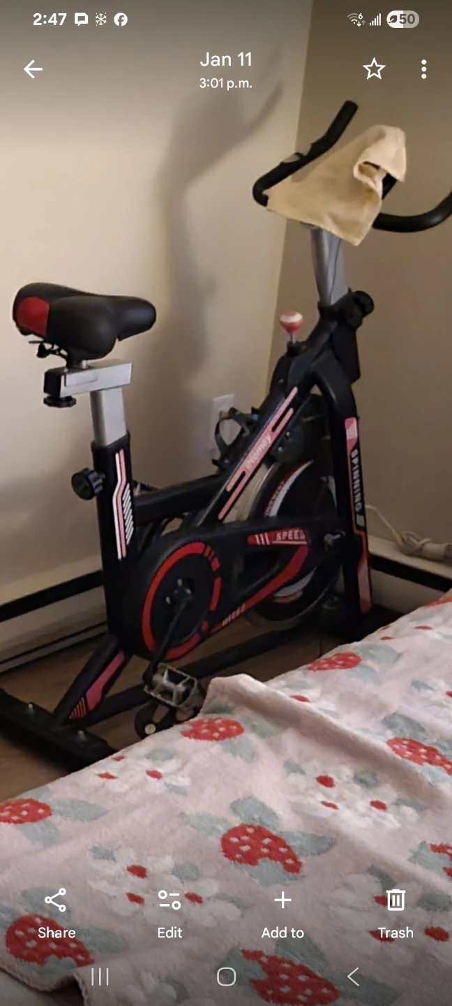 Spinning Bike - iHomey