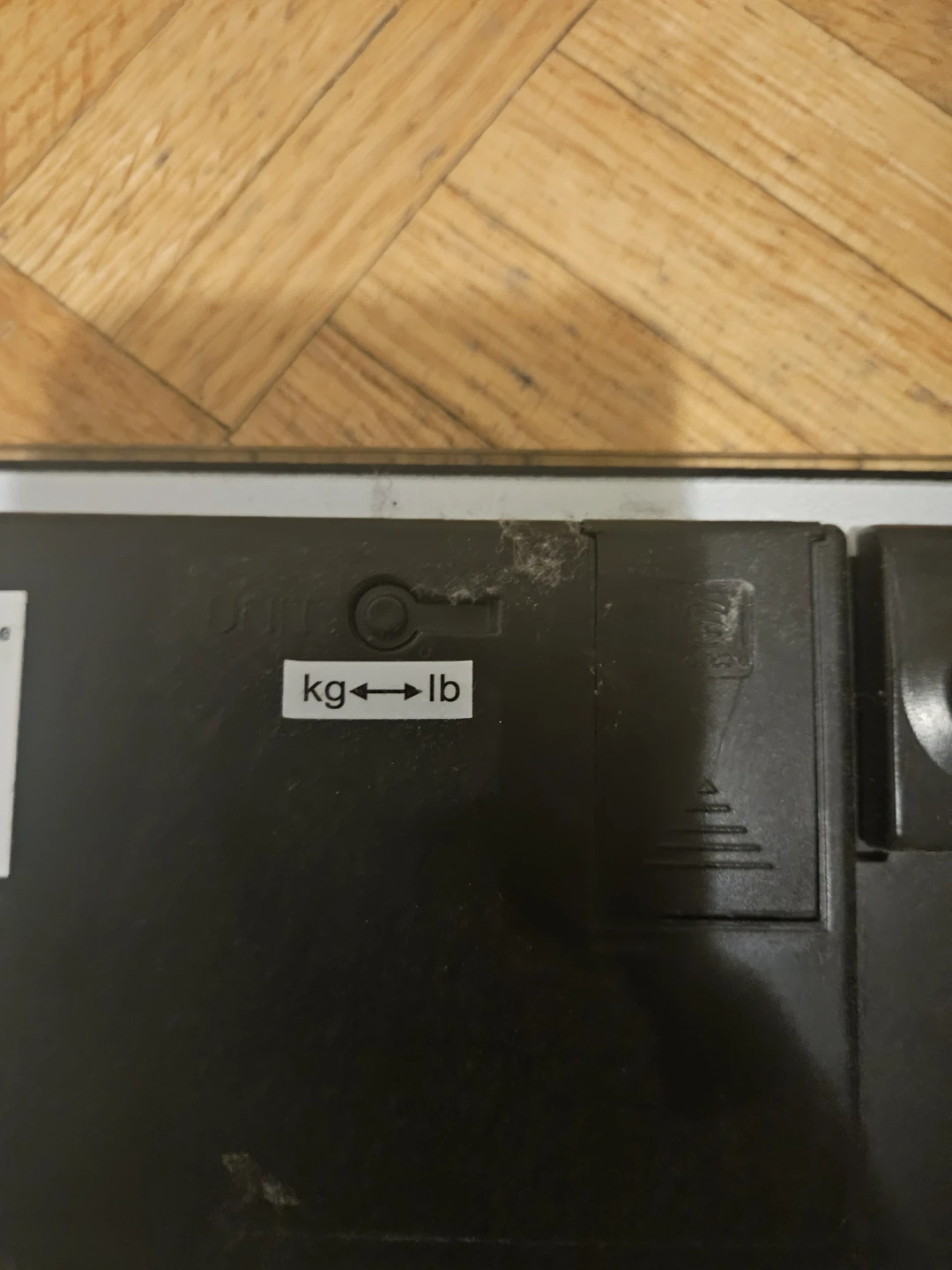 Scale - photo 4