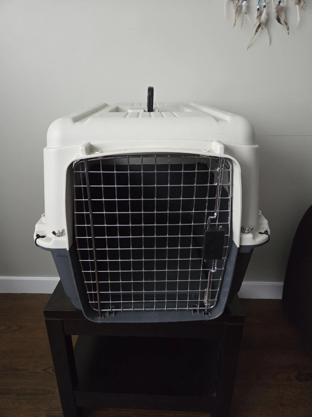 Pet Carrier Crate