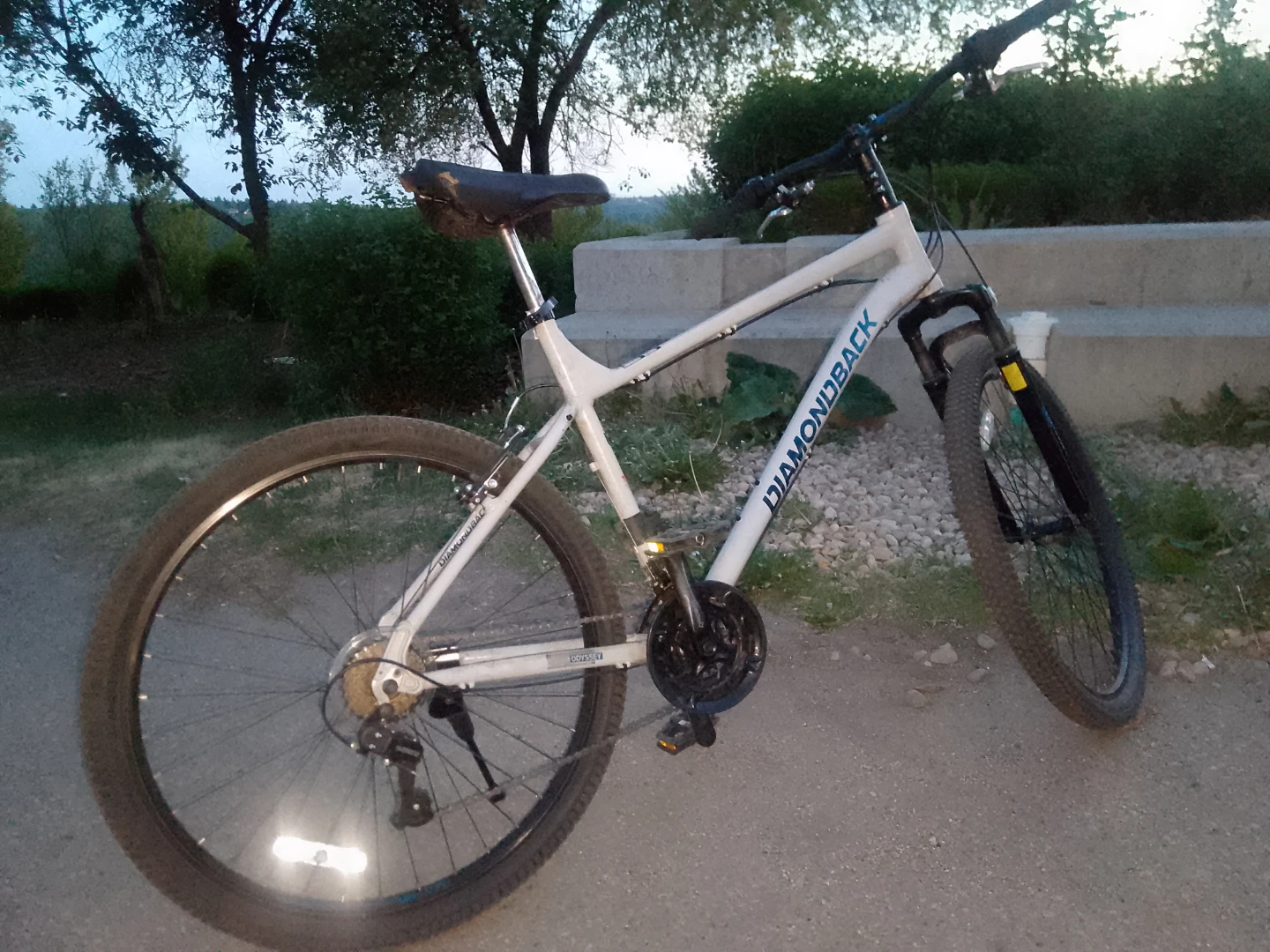 Diamondback Mountain Bike brand new - photo 2