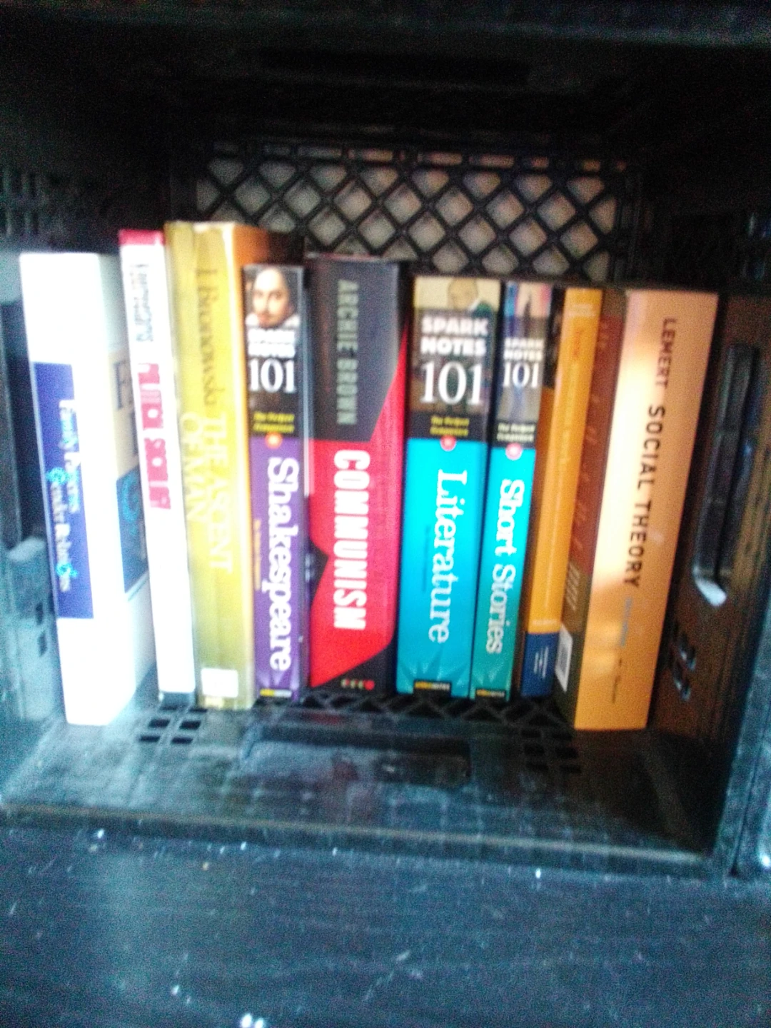 Assorted Psychology and Social Science Books