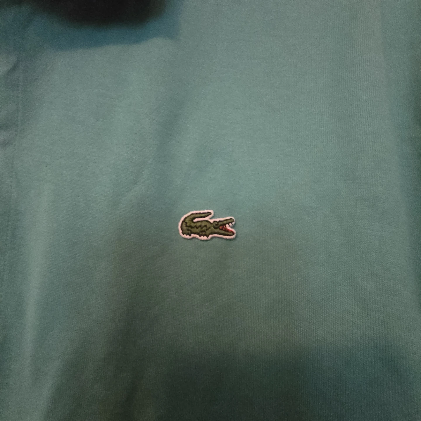Lacoste Polo Shirt - Green - photo 4