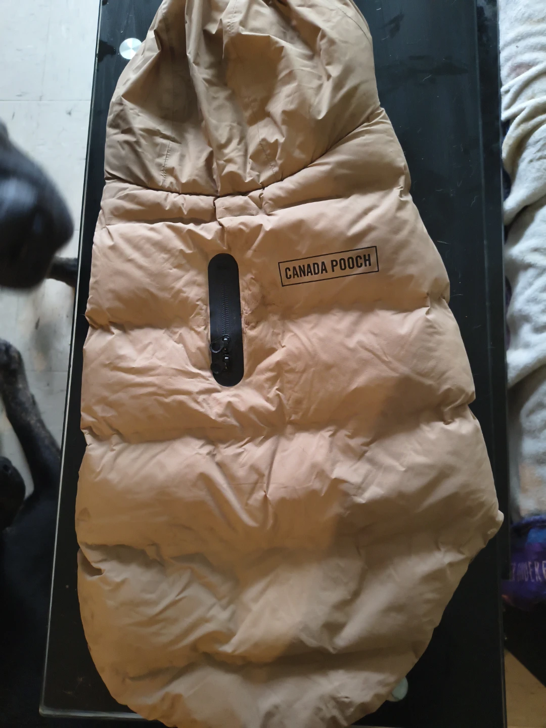 Canada Pooch Dog Winter Jacket