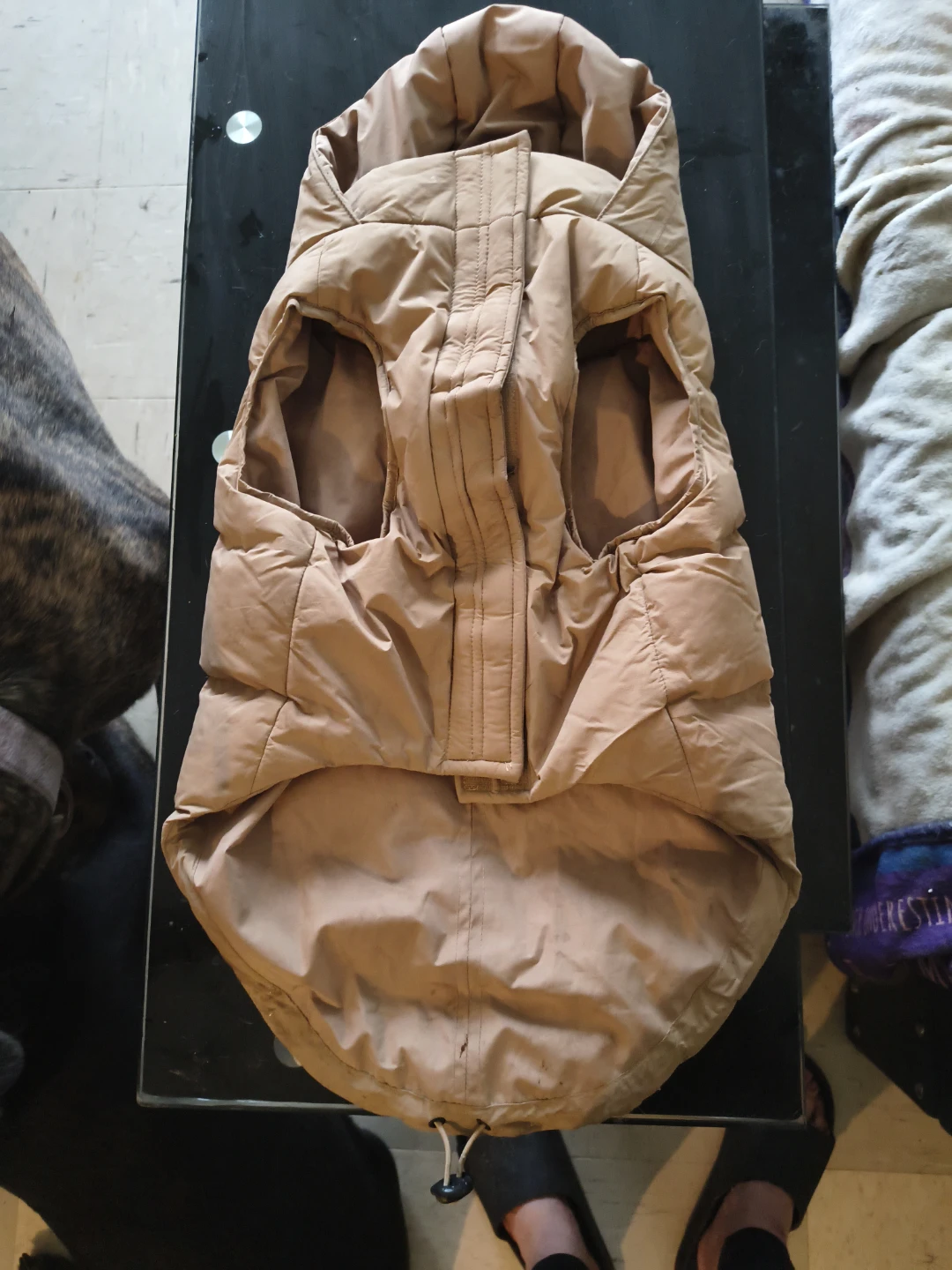 Canada Pooch Dog Winter Jacket - photo 2