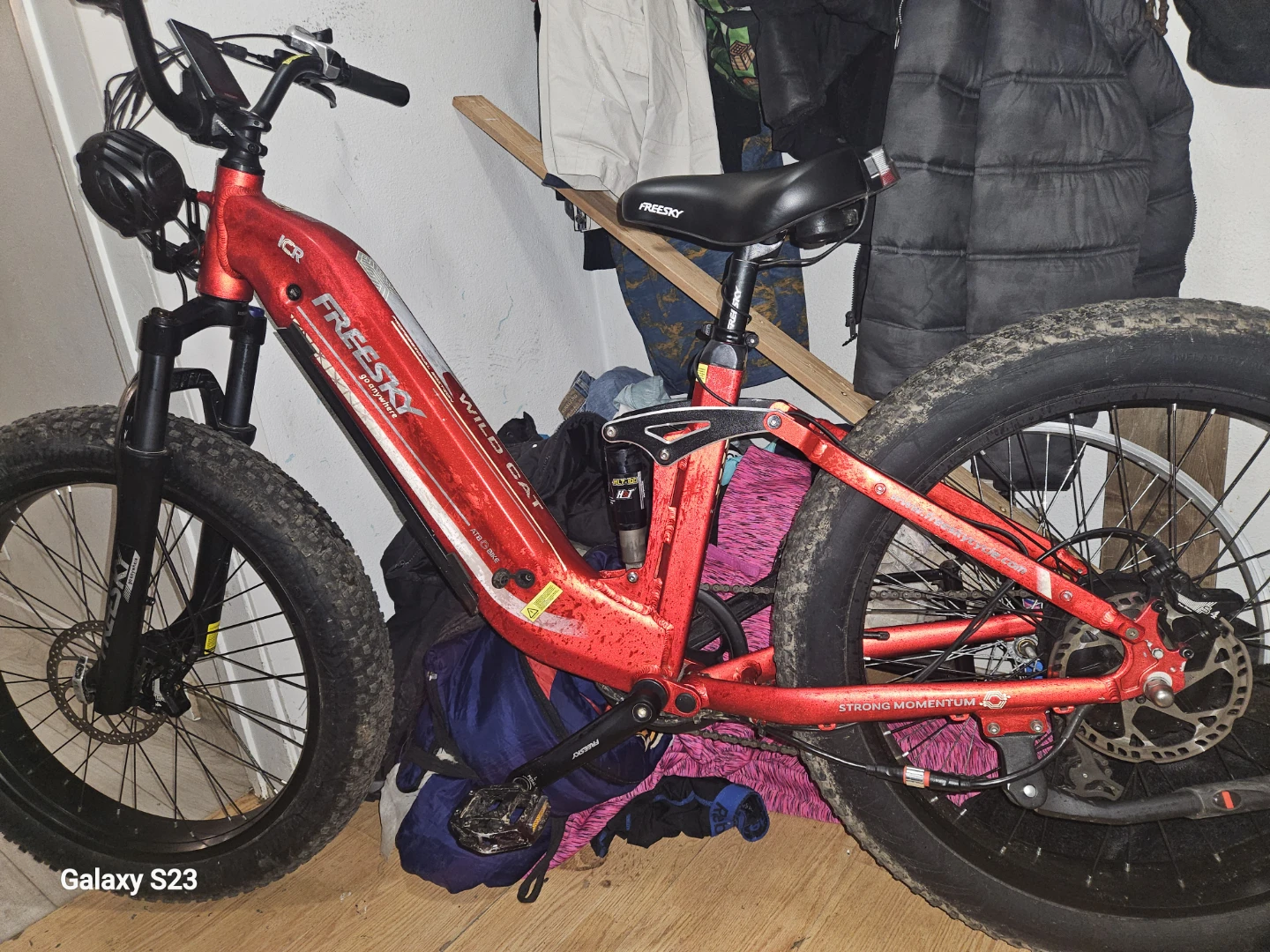 FREESKY WILD CAT Fat Tire Electric Bike