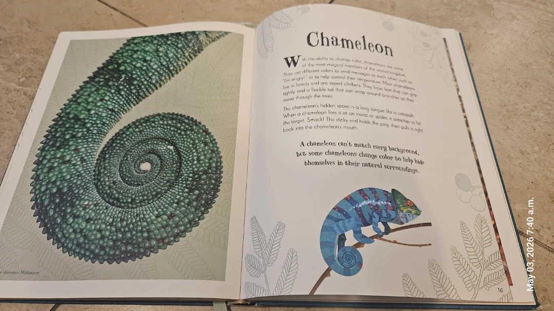 DK An Anthology of Intriguing Animals Book - photo 2