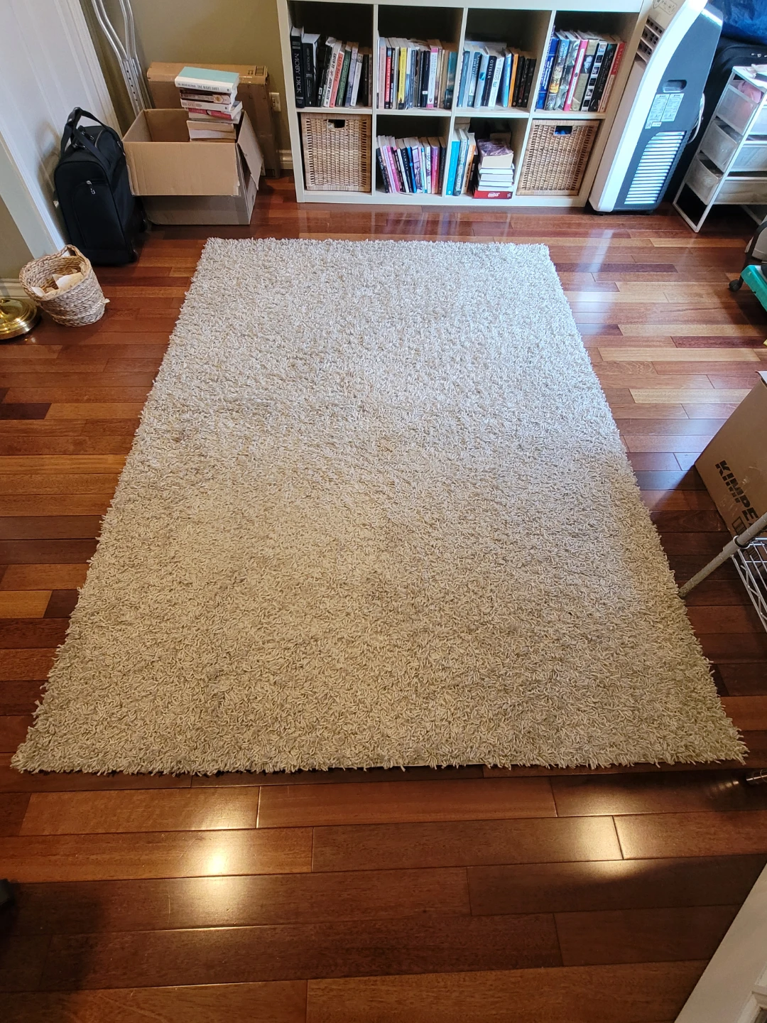 Shag area rug 5'x7' in Oatmeal/Beige - photo 3