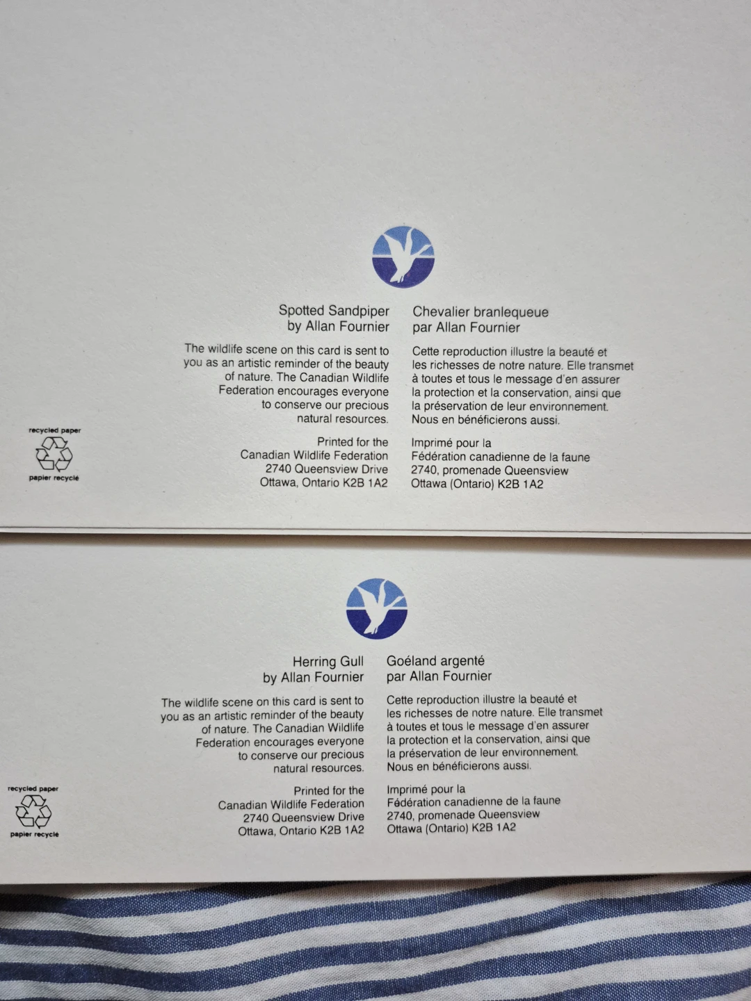 9 Bird Cards by the Canadian Wildlife Federation NEW - photo 4