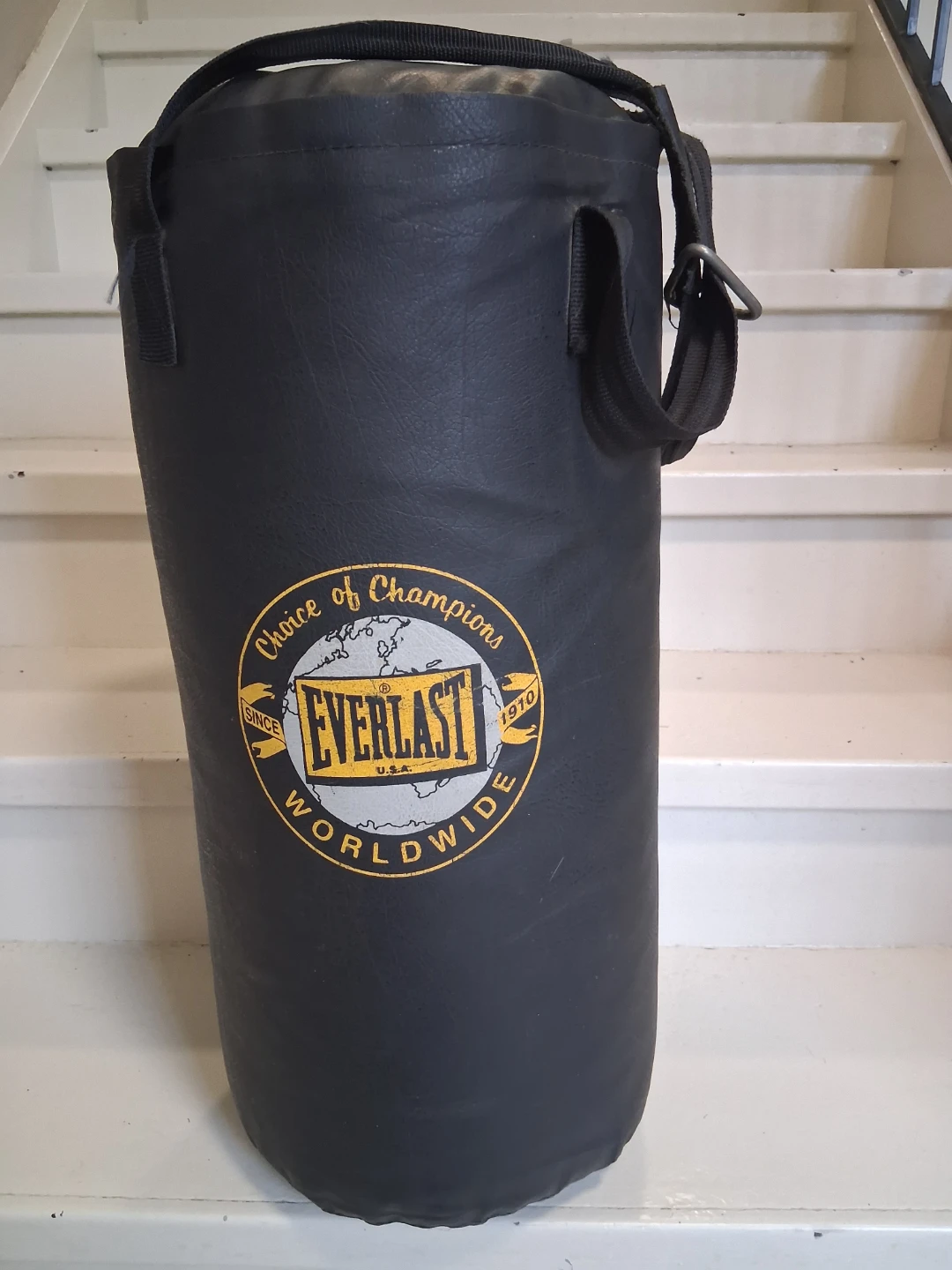 Everlast Punching Bag