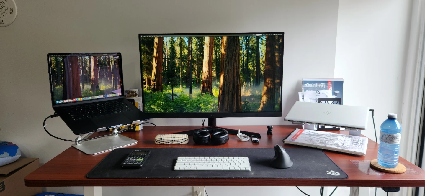 Moving Sale: LG Ultragear Gaming Monitor